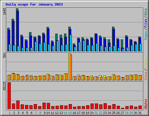 Daily usage for January 2023