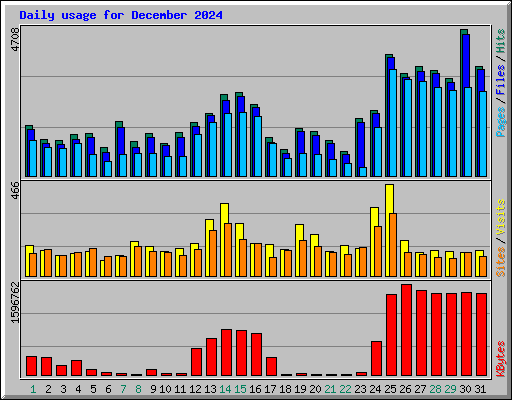 Daily usage for December 2024