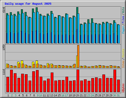 Daily usage for August 2025