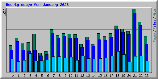 Hourly usage for January 2023