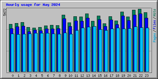 Hourly usage for May 2024