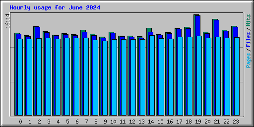 Hourly usage for June 2024