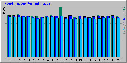 Hourly usage for July 2024