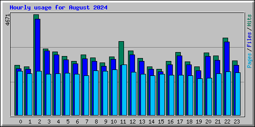 Hourly usage for August 2024