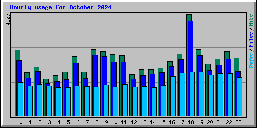 Hourly usage for October 2024