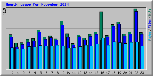 Hourly usage for November 2024