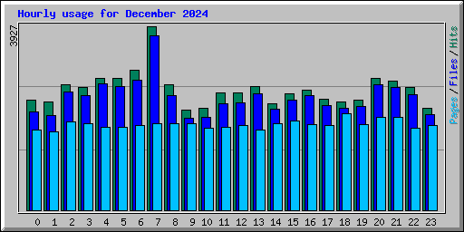 Hourly usage for December 2024