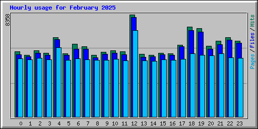 Hourly usage for February 2025