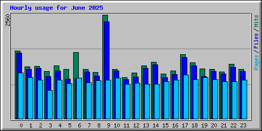 Hourly usage for June 2025