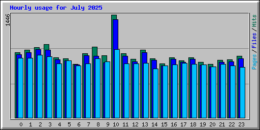 Hourly usage for July 2025