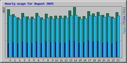 Hourly usage for August 2025