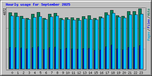 Hourly usage for September 2025