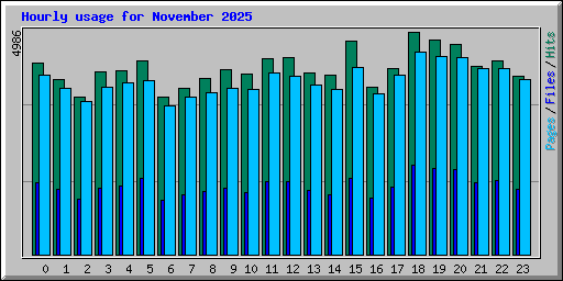 Hourly usage for November 2025