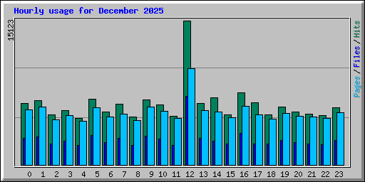 Hourly usage for December 2025