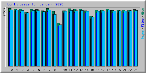 Hourly usage for January 2026