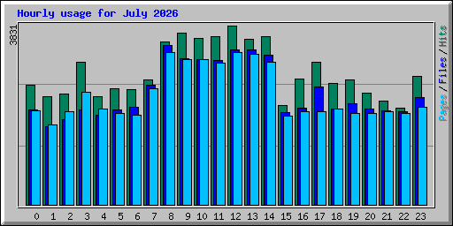 Hourly usage for July 2026