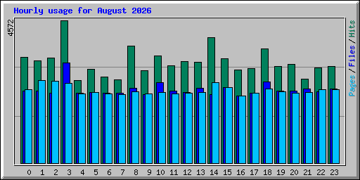 Hourly usage for August 2026